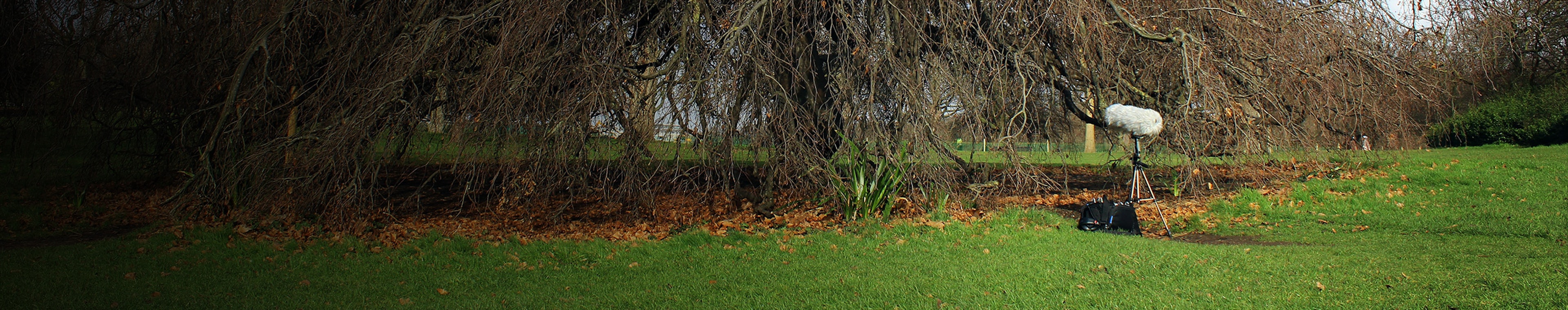 Gain Walkers profile cover Gain Walkers profile cover