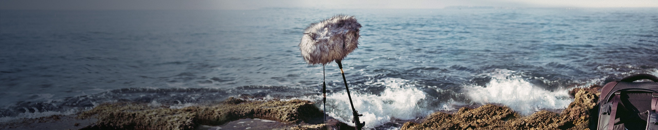 Phil Michalski profile cover Phil Michalski profile cover