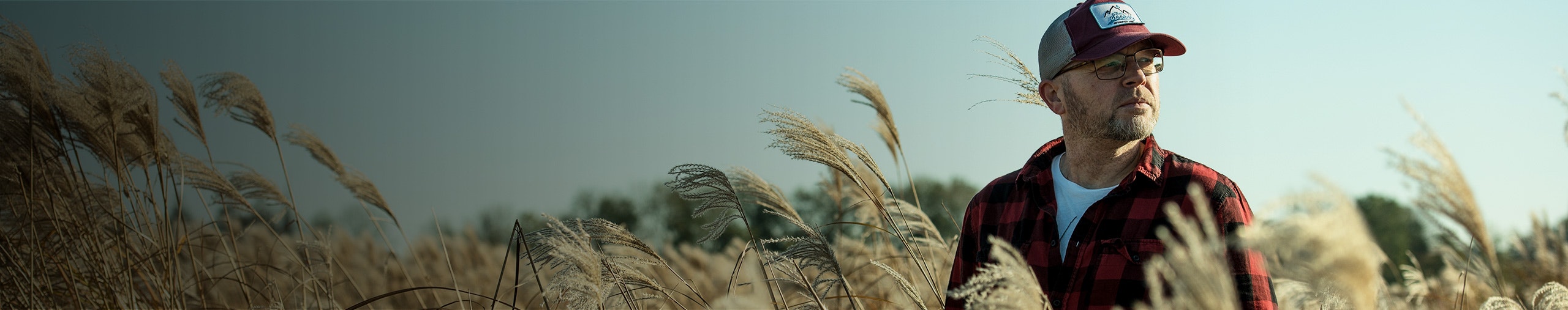 Denhollander profile cover Denhollander profile cover