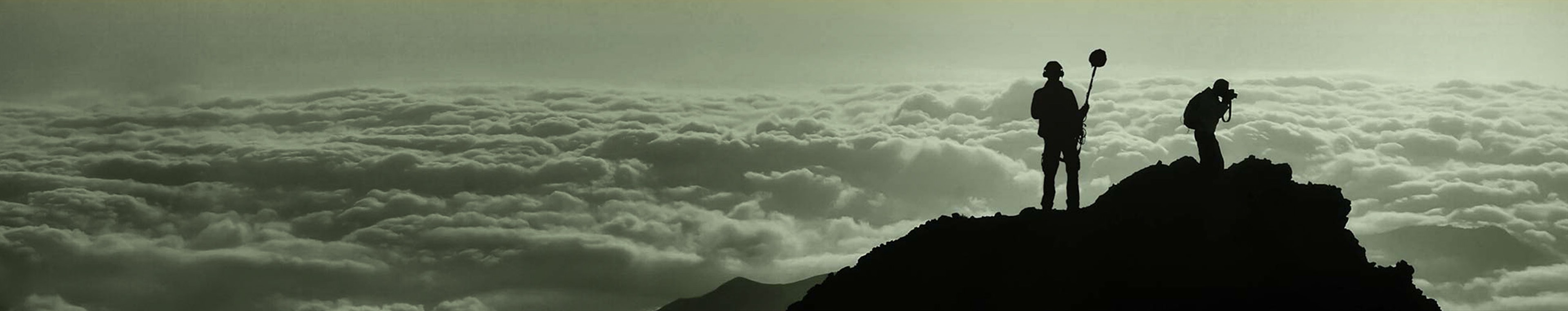 Articulated Sounds profile cover Articulated Sounds profile cover