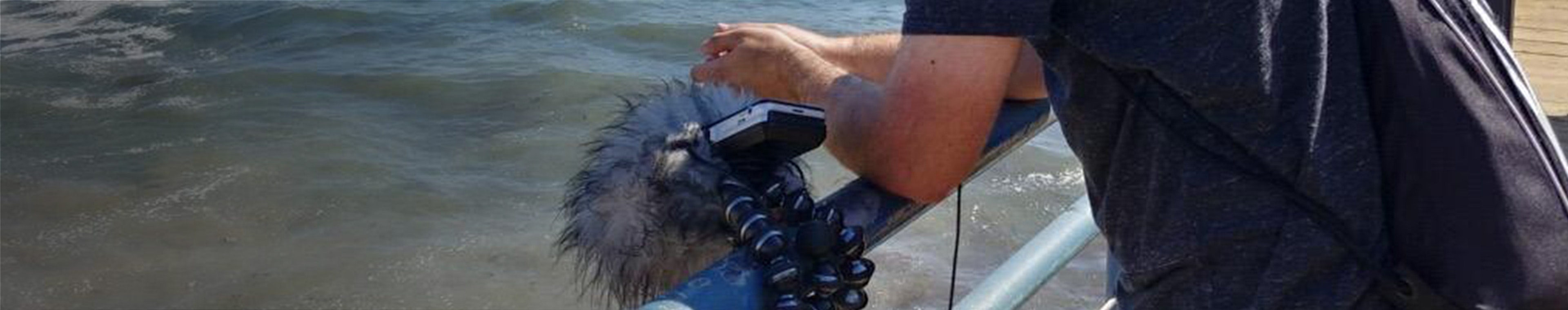 All You Can Eat Audio profile cover