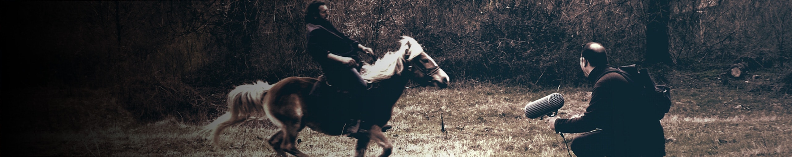 Sound Ex Machina profile cover Sound Ex Machina profile cover