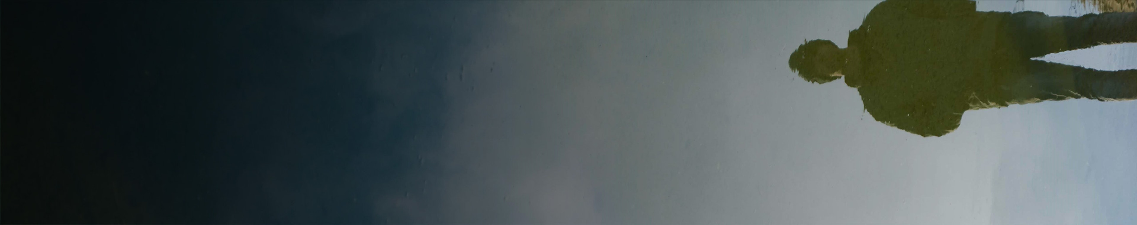 Sonic Bat profile cover Sonic Bat profile cover