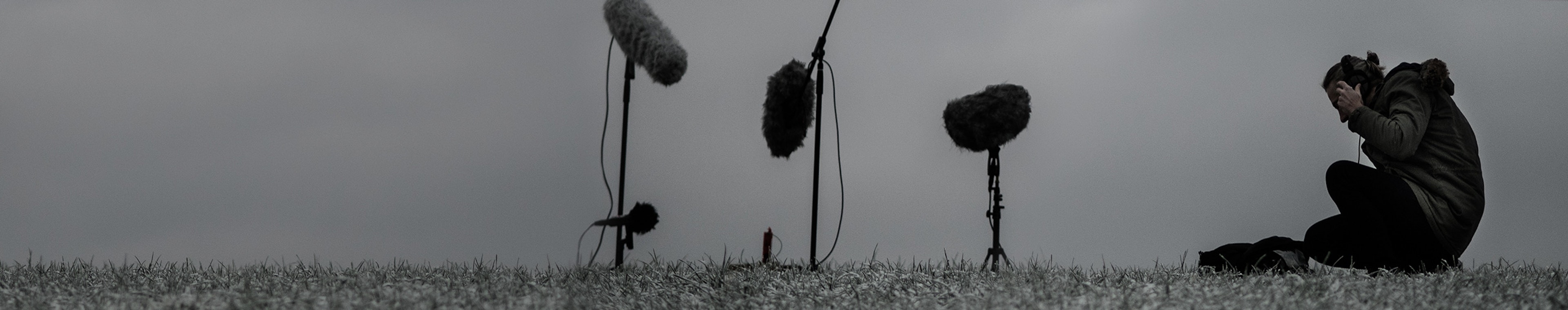 Tone Glow Libraries profile cover Tone Glow Libraries profile cover