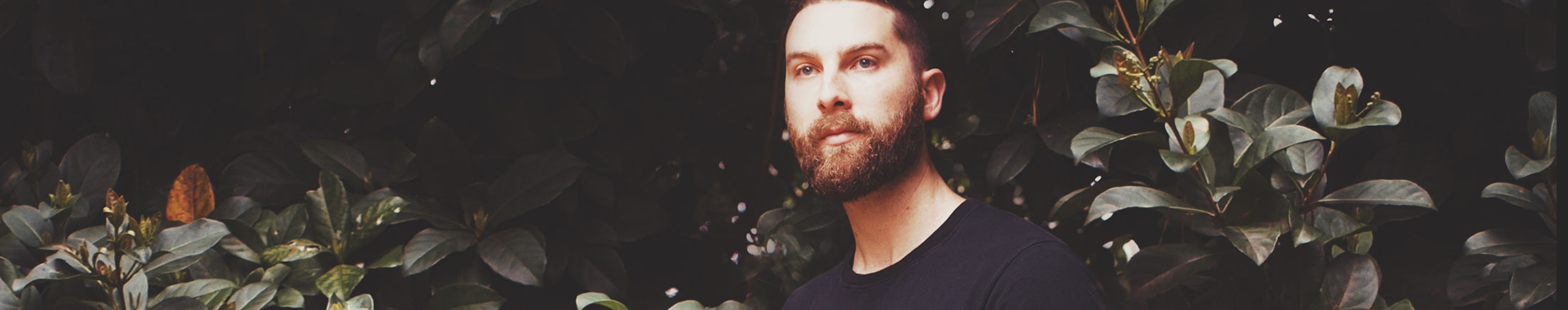 Hyson profile cover Hyson profile cover