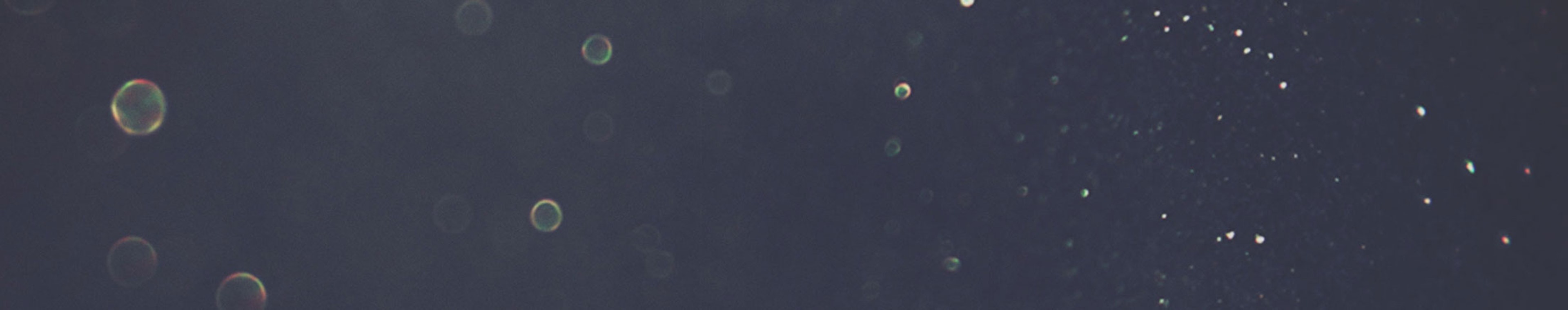 Diezmo profile cover Diezmo profile cover