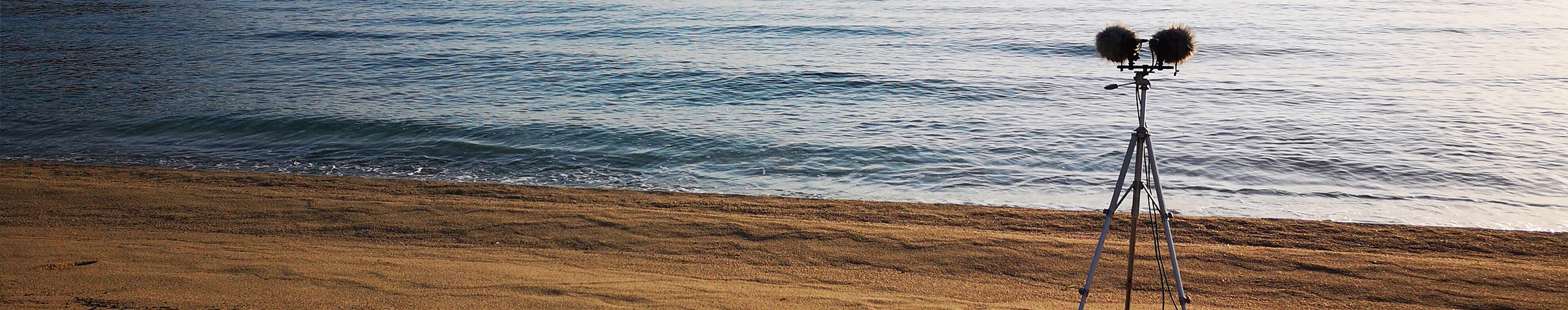 West Wolf profile cover West Wolf profile cover