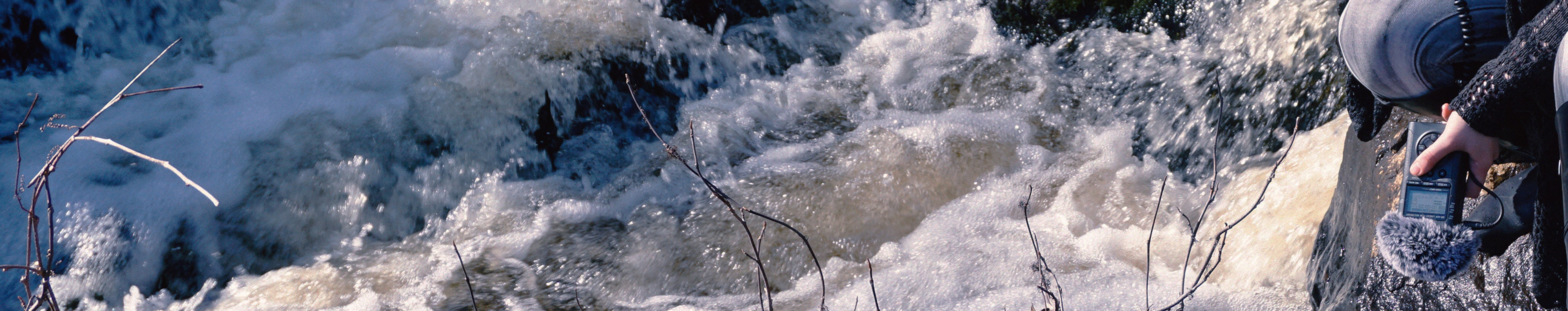 Shirly Spikes profile cover Shirly Spikes profile cover