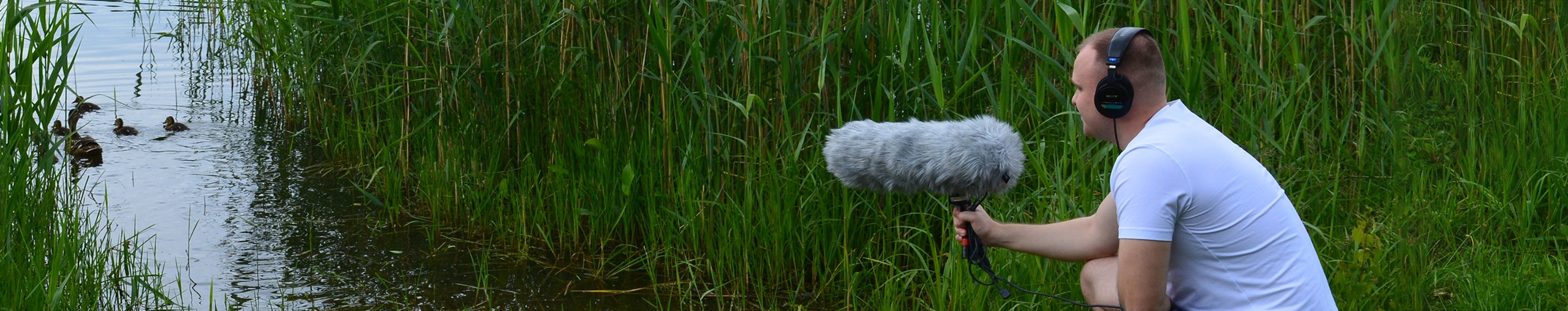 Beison profile cover Beison profile cover