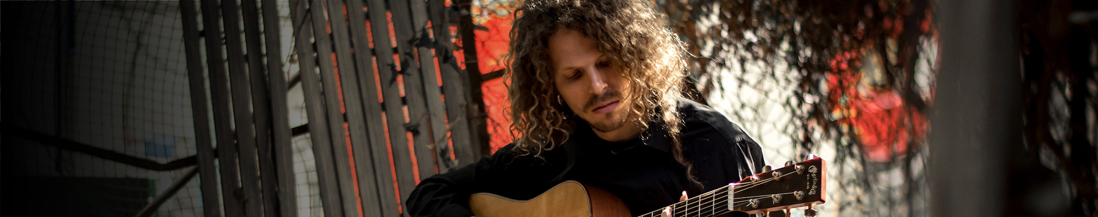 Prophecy Playground profile cover Prophecy Playground profile cover