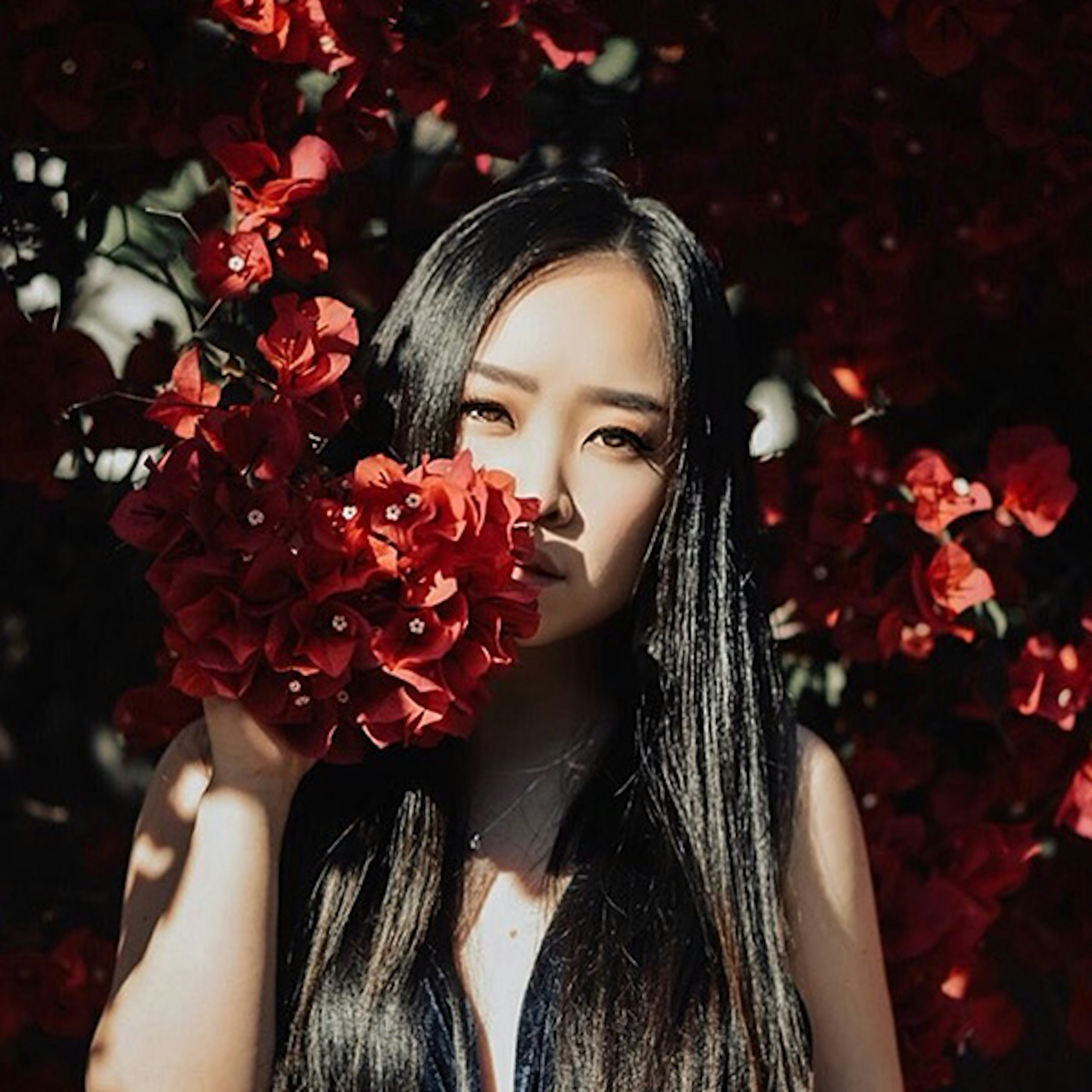 Lulabi profile picture Lulabi profile picture