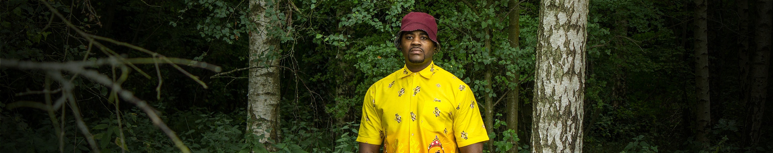 Zephyr Gold profile cover Zephyr Gold profile cover