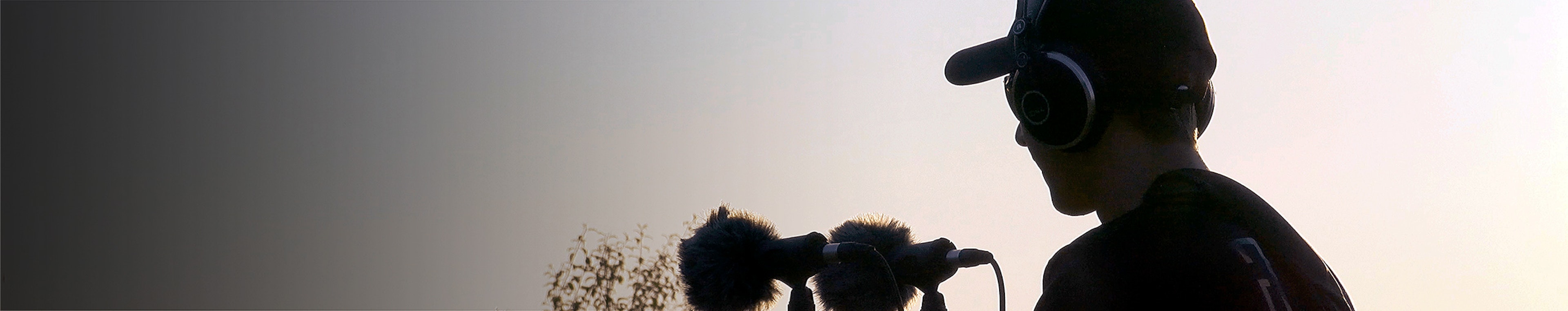 EVG Sound FX profile cover