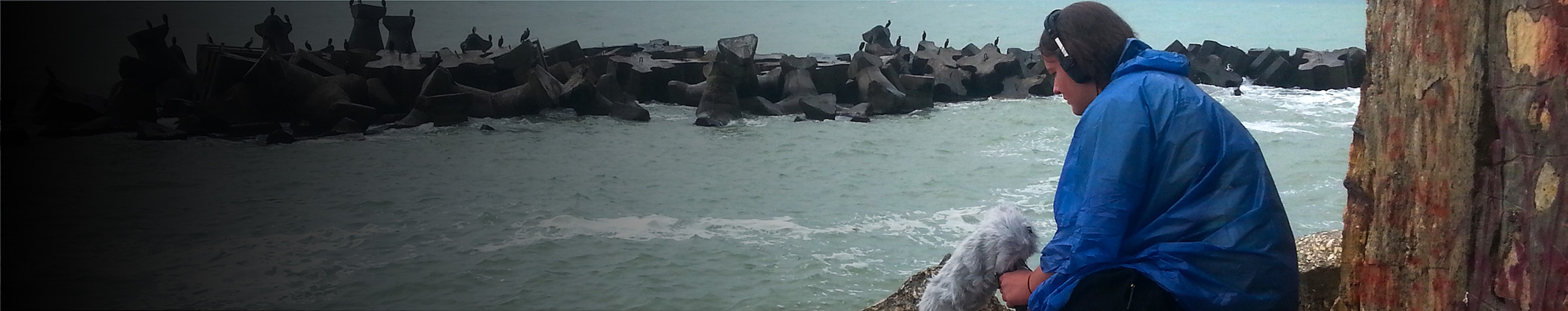 Skyes Audio profile cover Skyes Audio profile cover