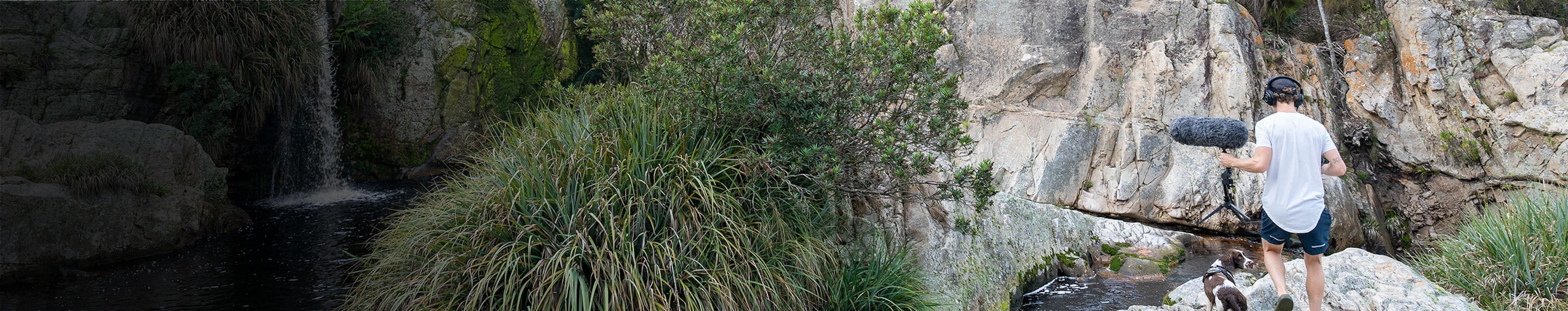 Jesse Gillis profile cover Jesse Gillis profile cover