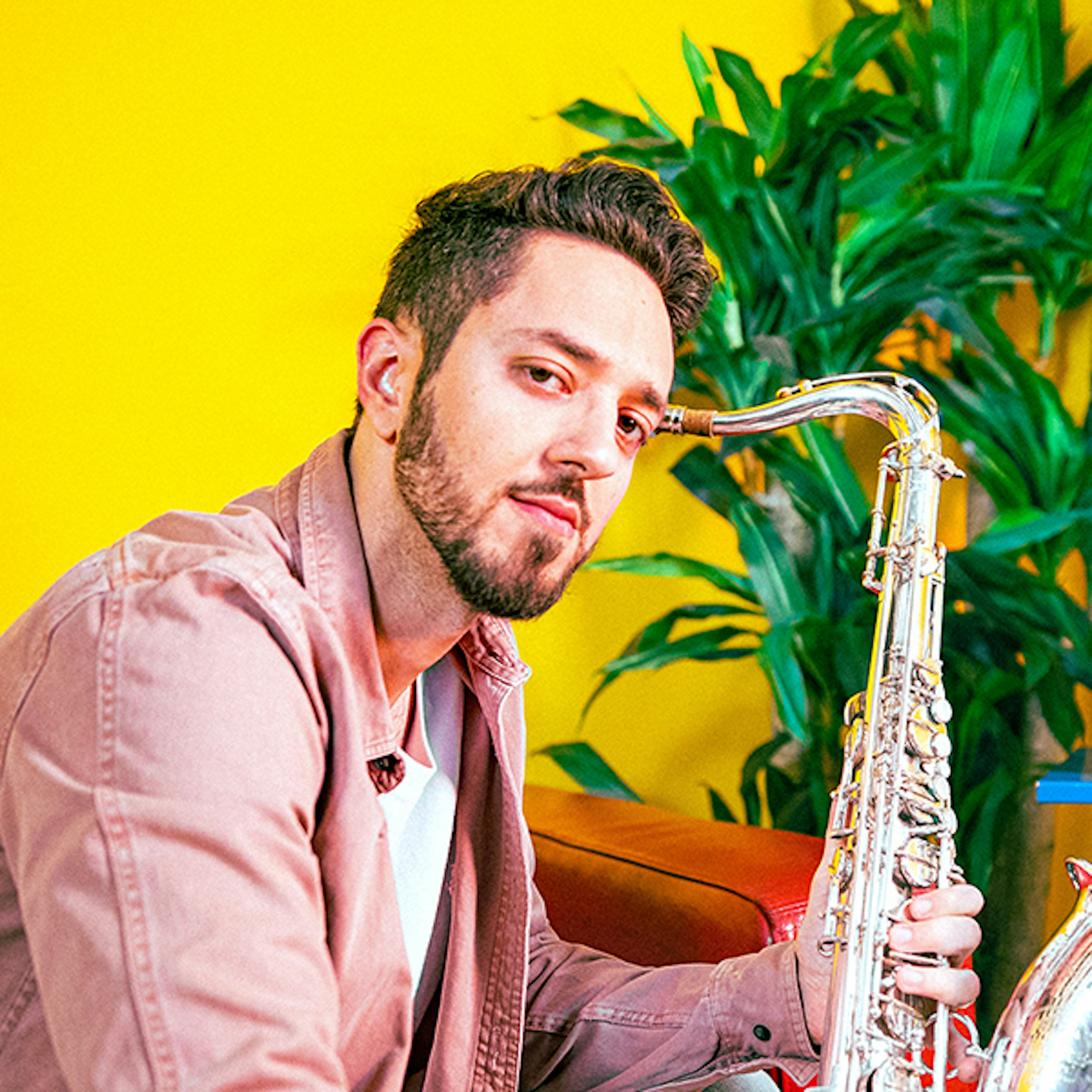 Avi Rafael profile picture Avi Rafael profile picture