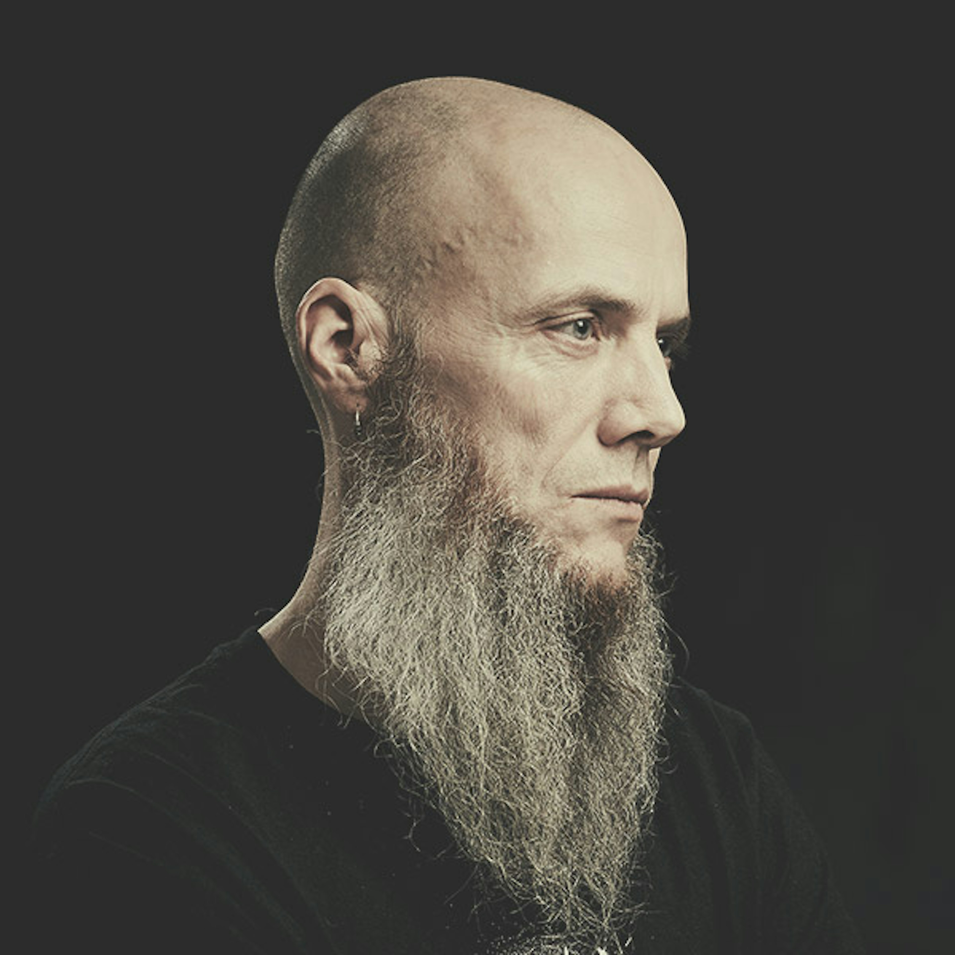 Shadows & Echoes profile picture