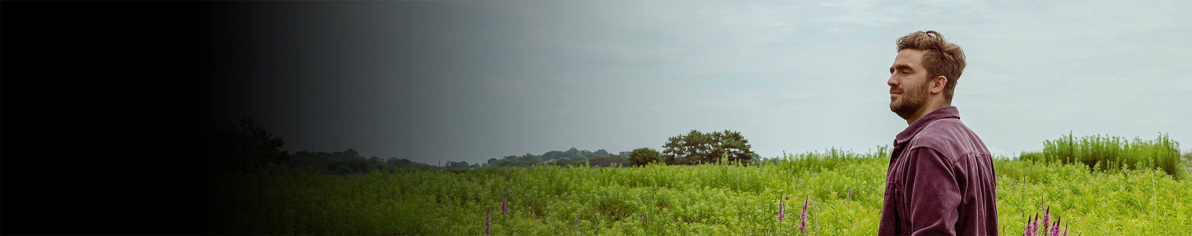 Le Marigold profile cover Le Marigold profile cover