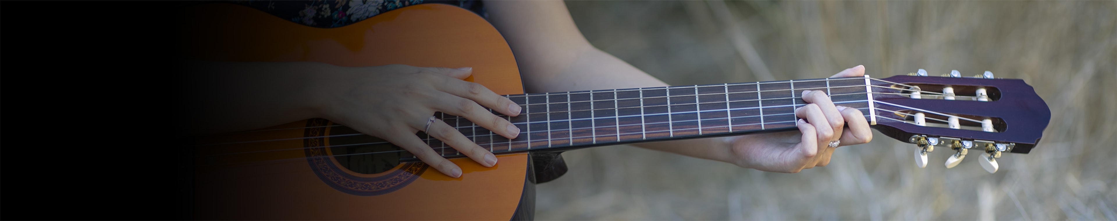 Rena Shechter profile cover Rena Shechter profile cover