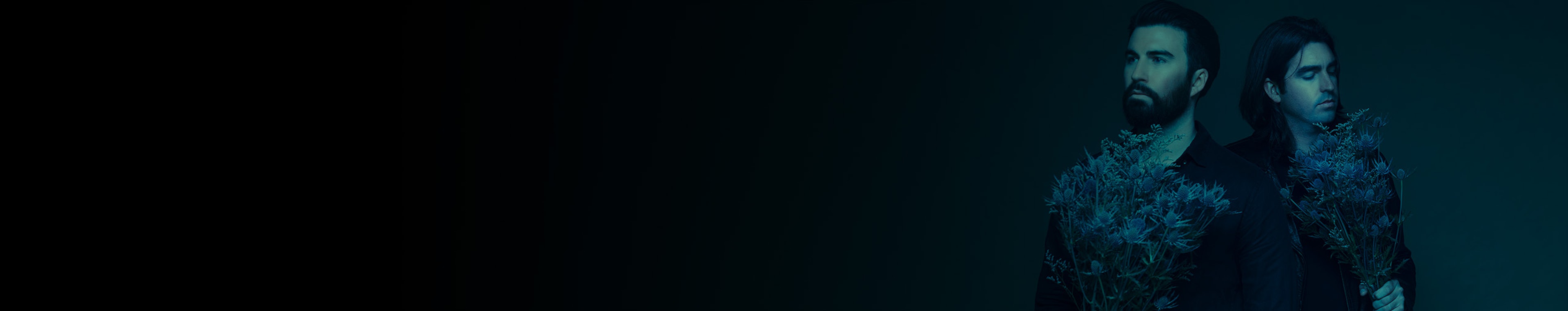 DUELS profile cover DUELS profile cover