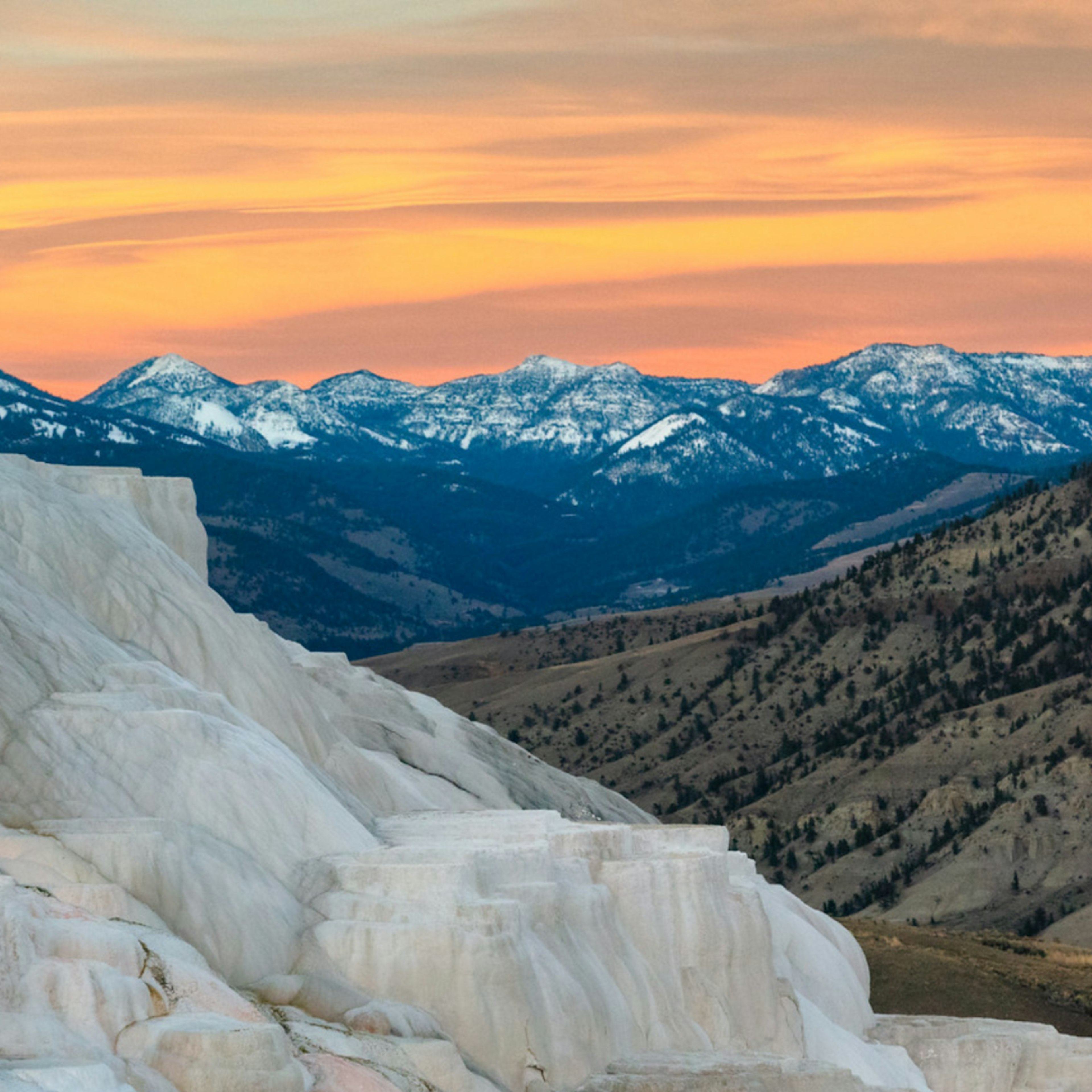 Yellowstone Sound Library profile picture