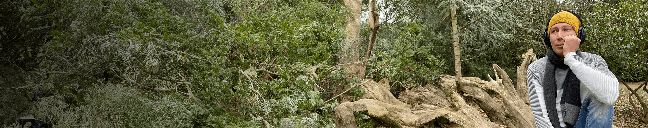 lumine wave profile cover lumine wave profile cover