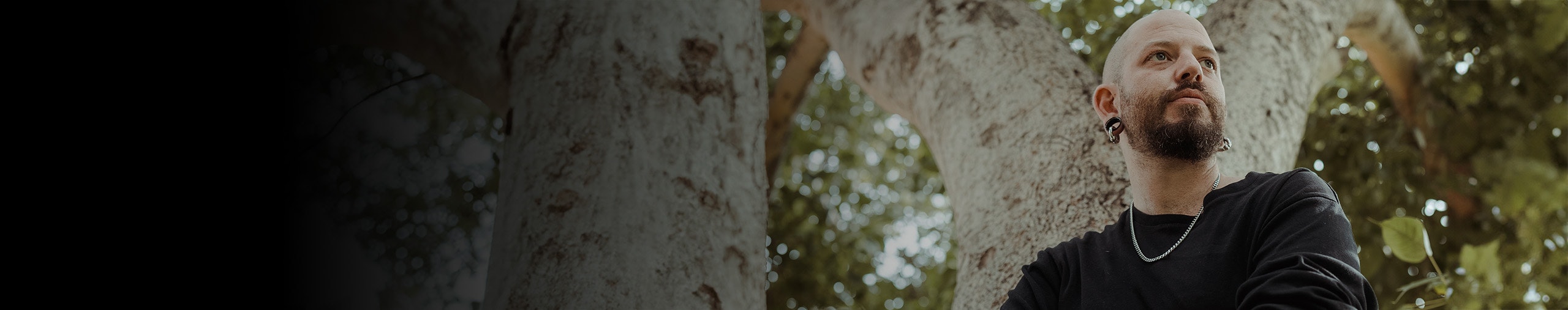 Ariel Dahan profile cover Ariel Dahan profile cover