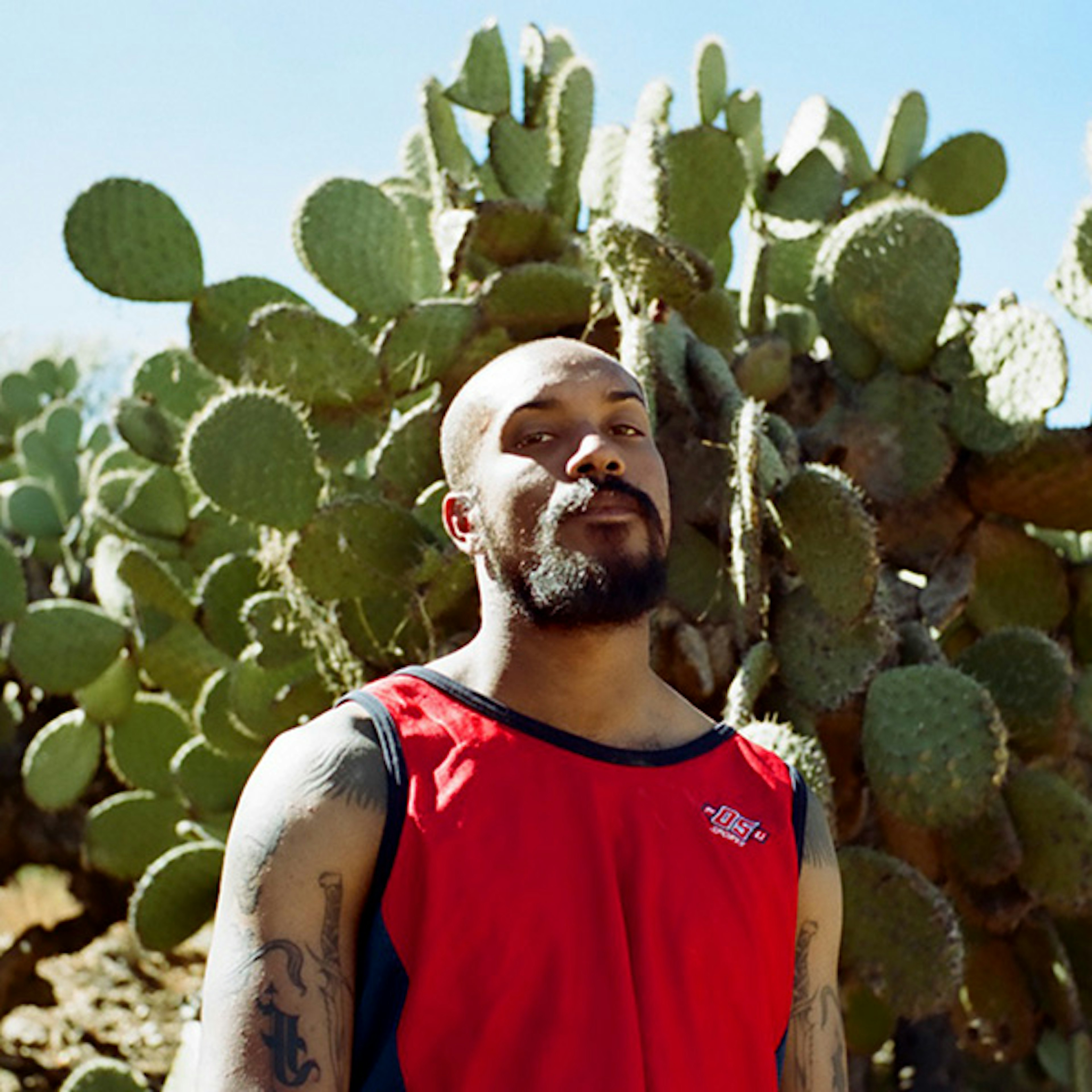 Vader profile picture Vader profile picture