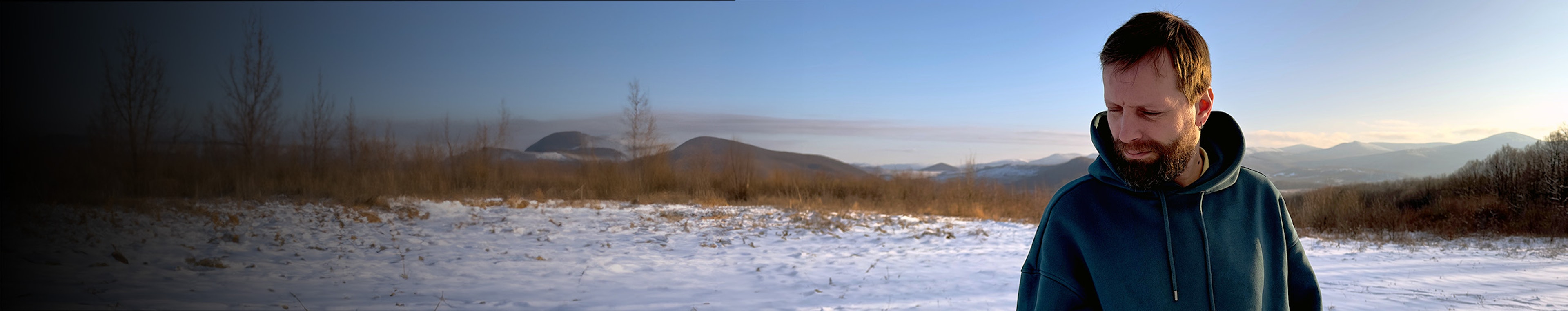 Icosphere profile cover Icosphere profile cover