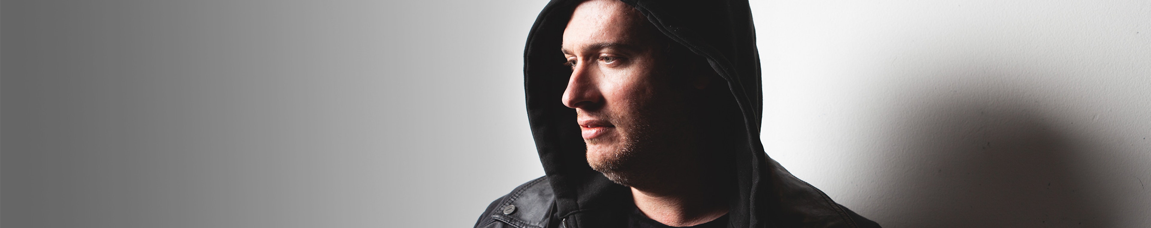 Skylight profile cover