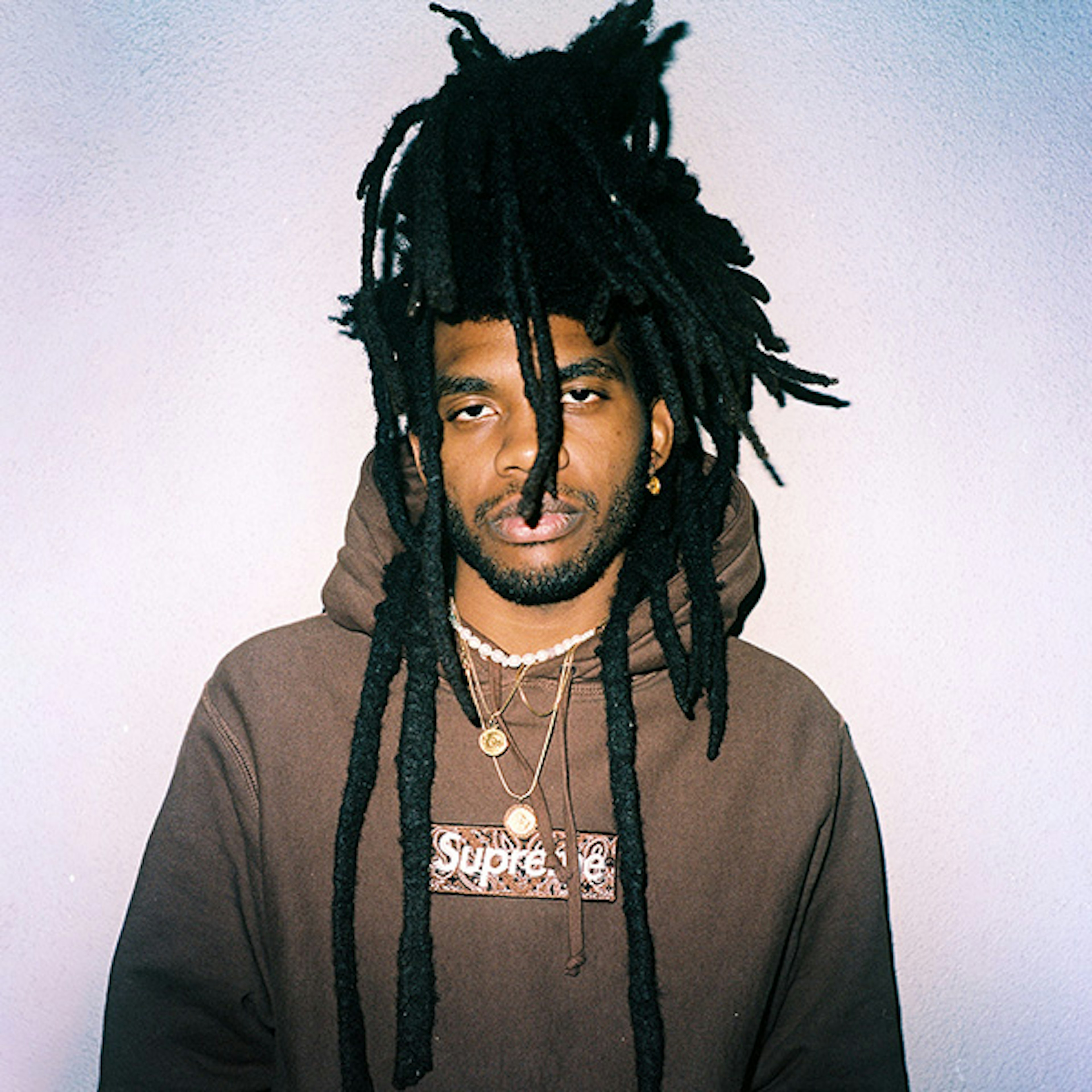 swamp profile picture swamp profile picture