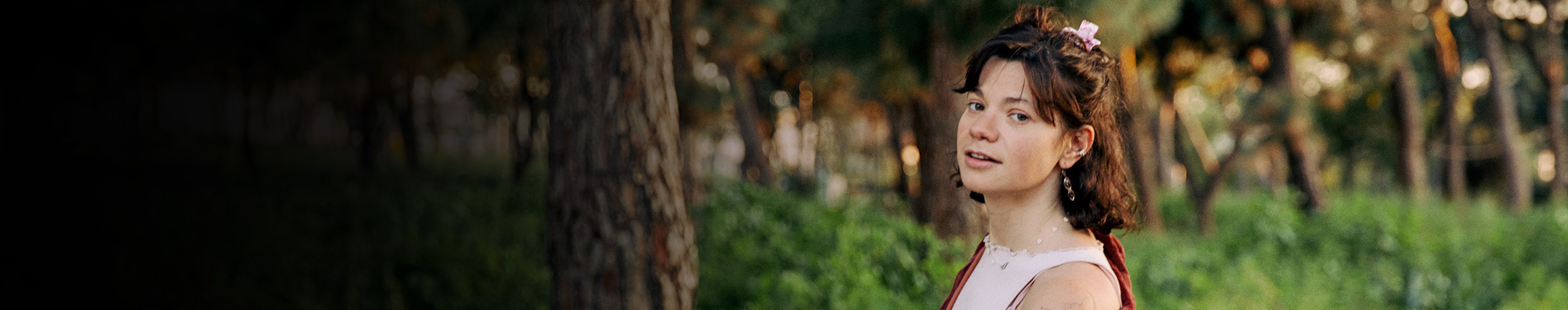 Amaryllis profile cover Amaryllis profile cover