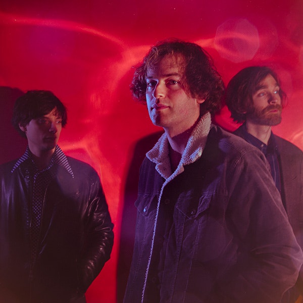 Maybird profile picture Maybird profile picture