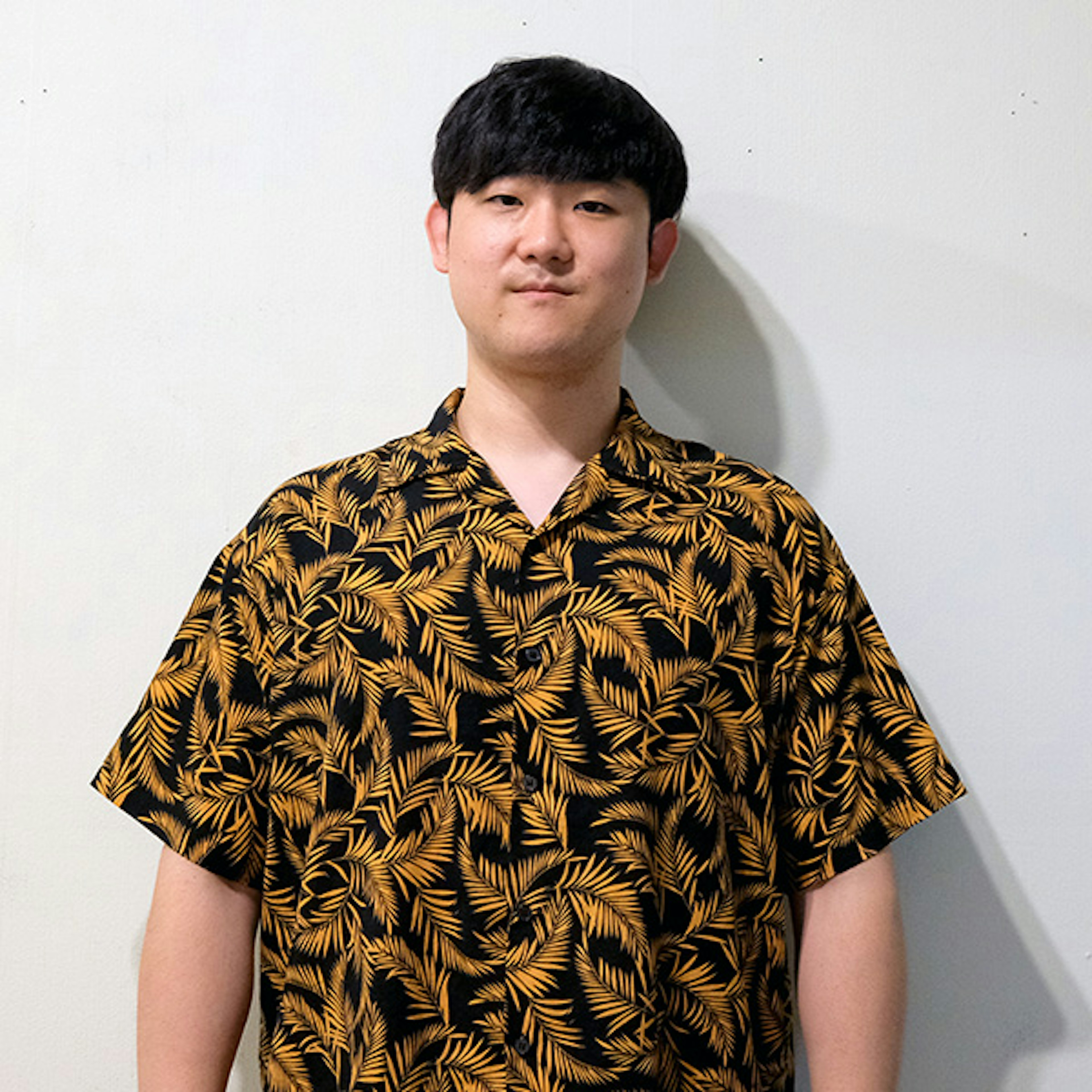 The Turtlemelon Band profile picture