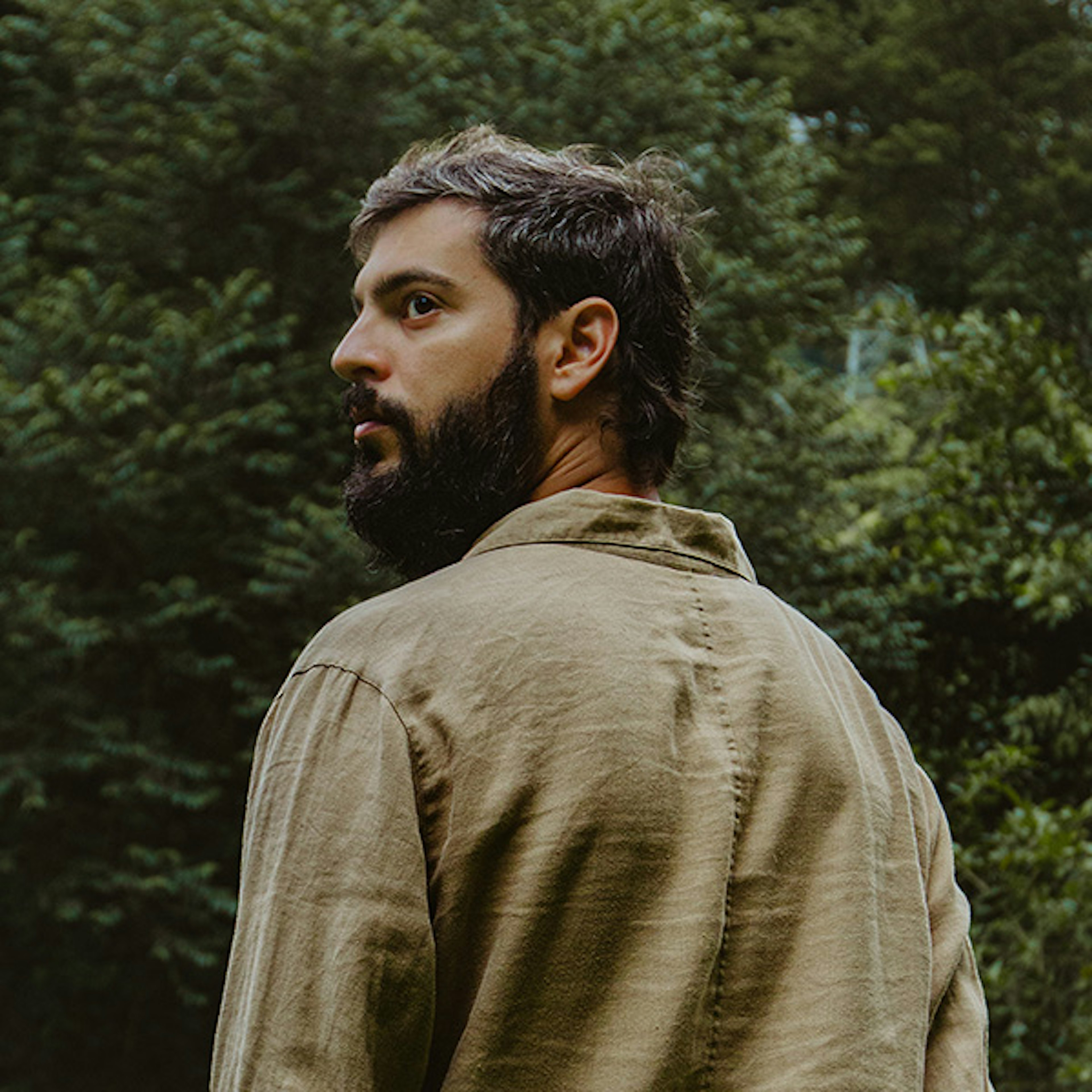 L. Donner profile picture