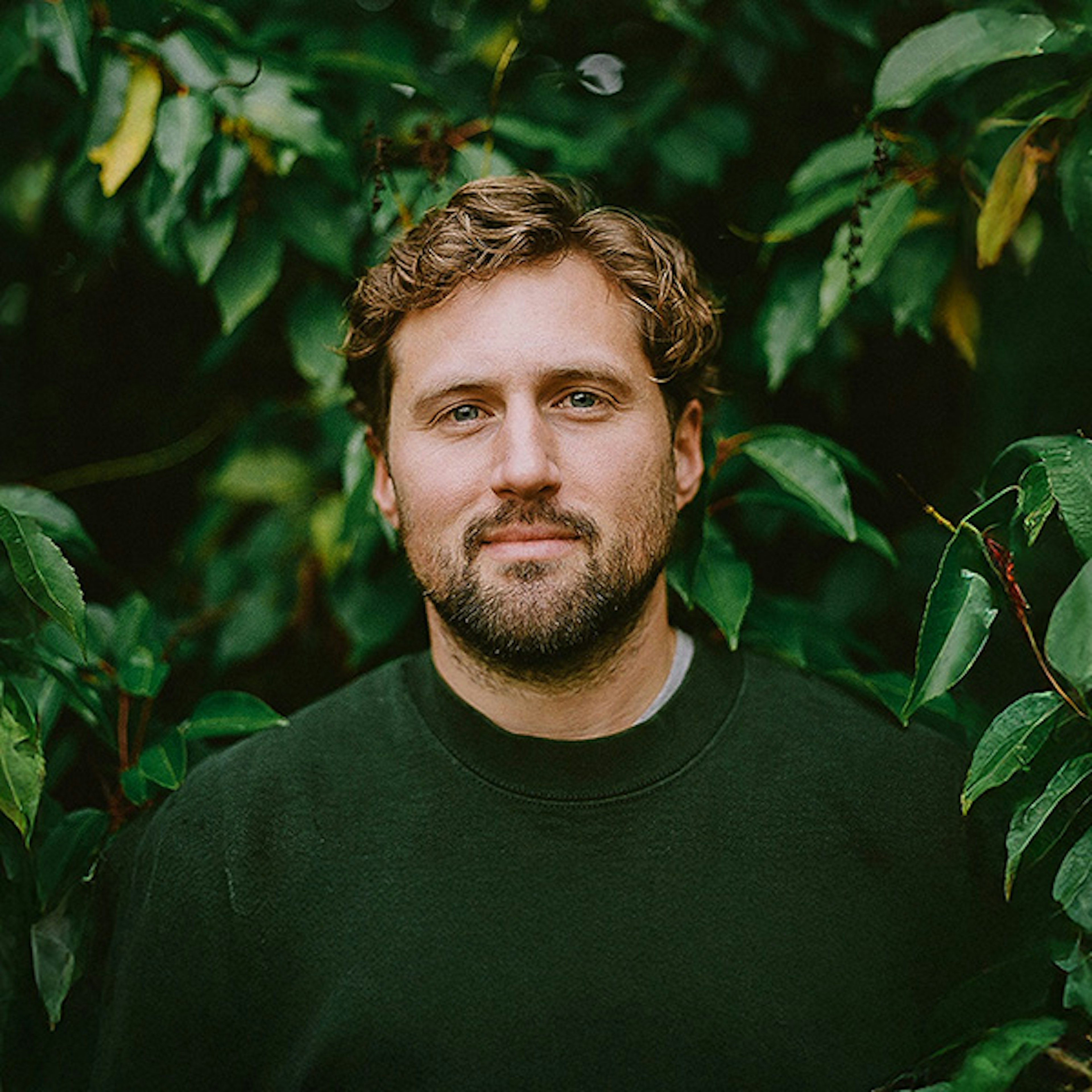 Midflight Social profile picture