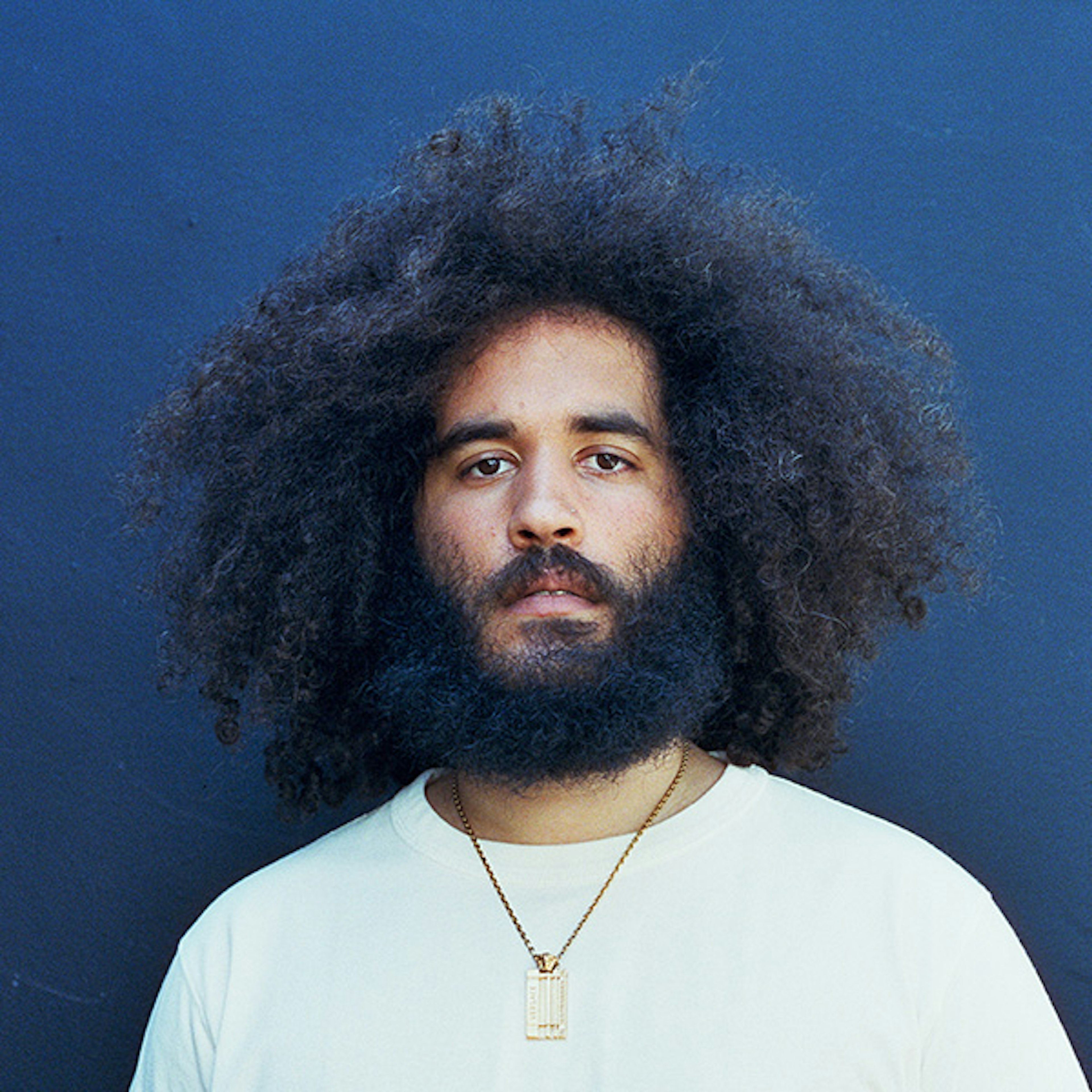 Angelo Mota profile picture