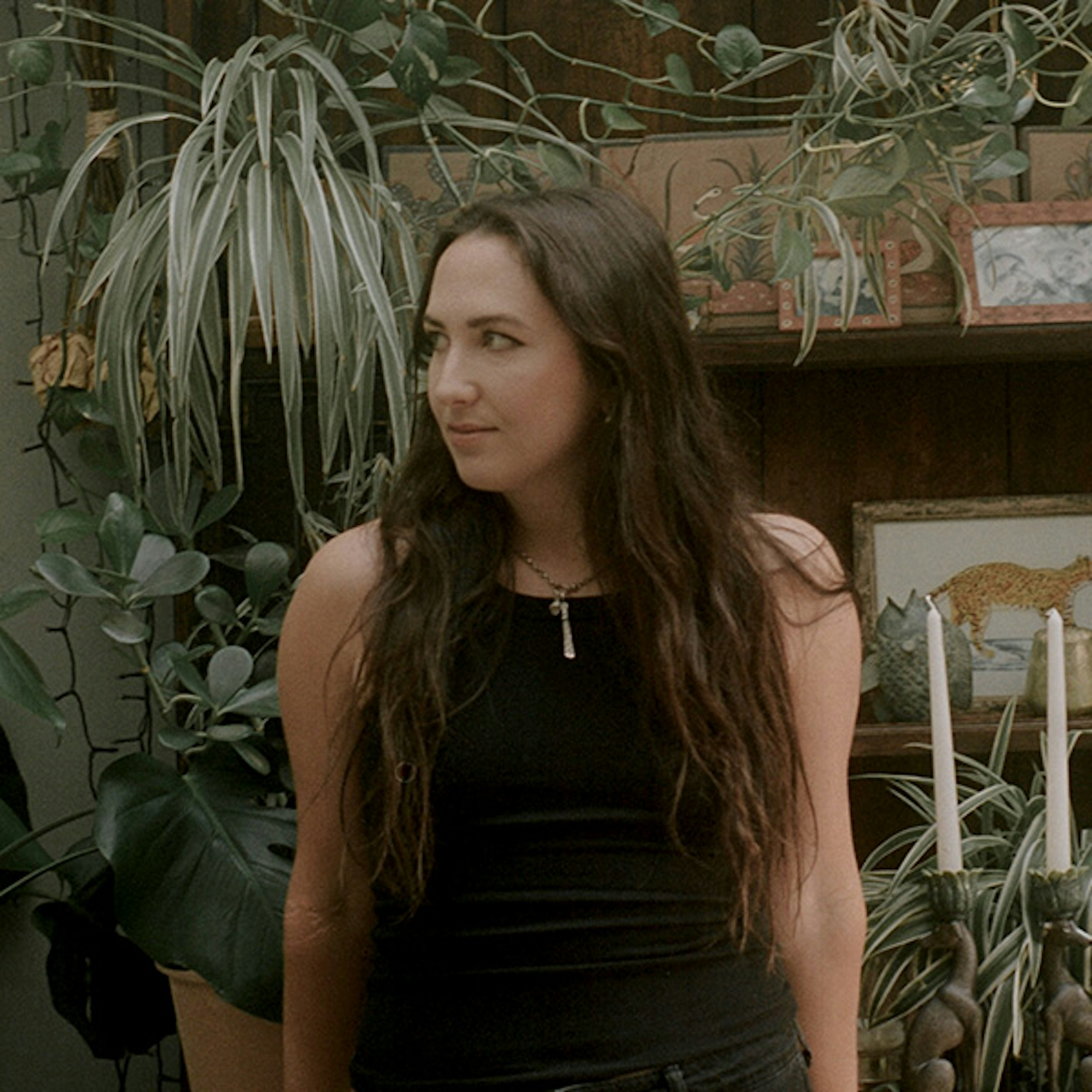 Violet Library profile picture