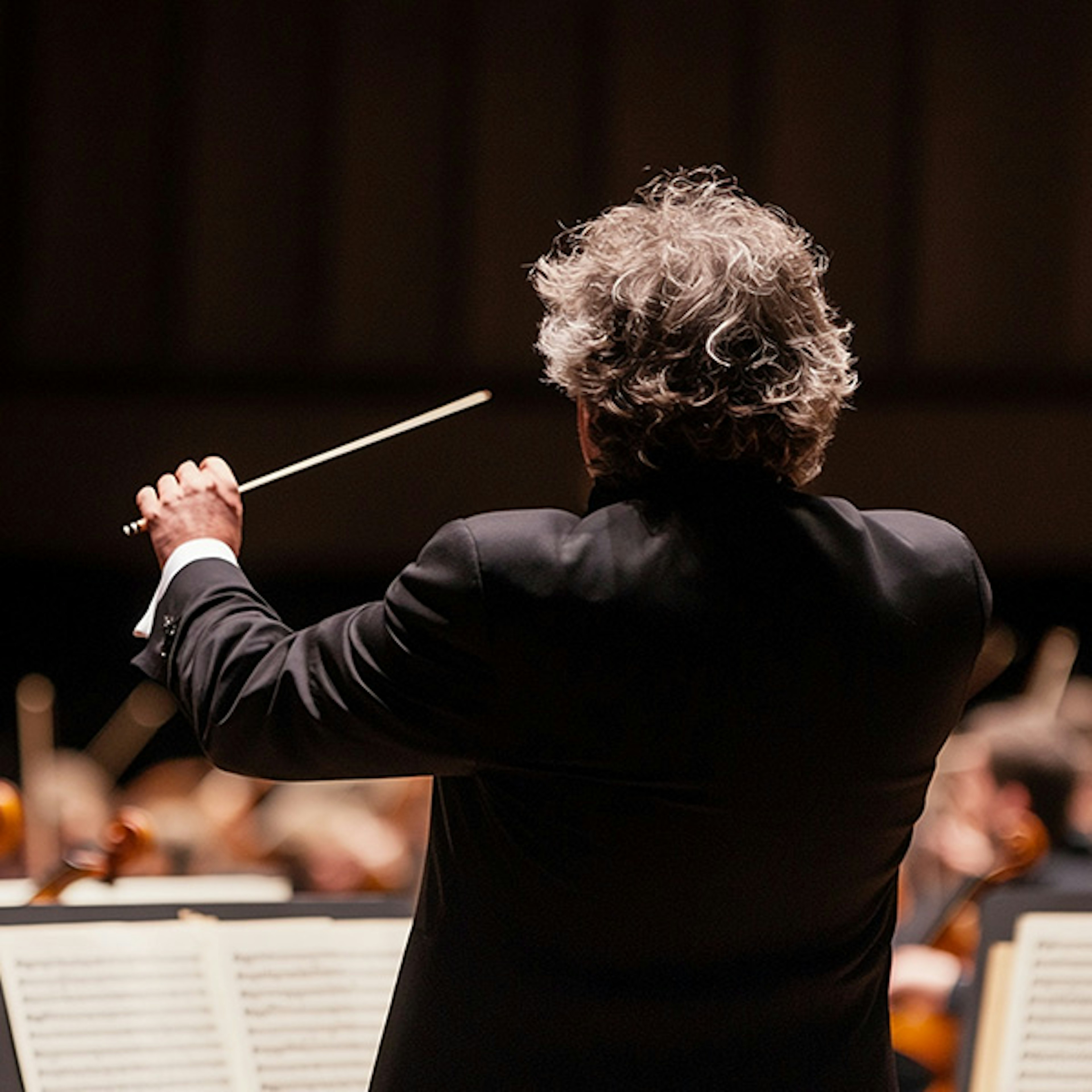 Budapest Art Orchestra profile picture Budapest Art Orchestra profile picture