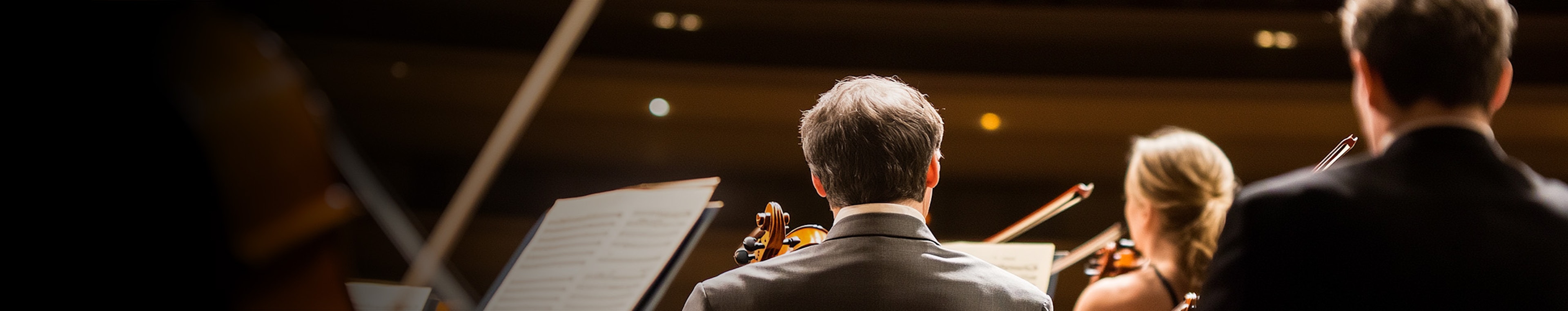 Budapest Art Orchestra profile cover Budapest Art Orchestra profile cover