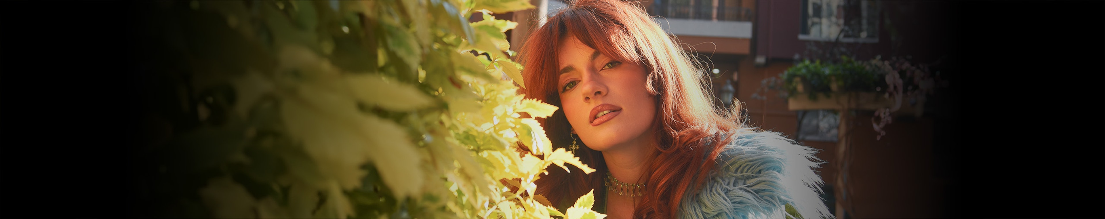 Lily Meola profile cover